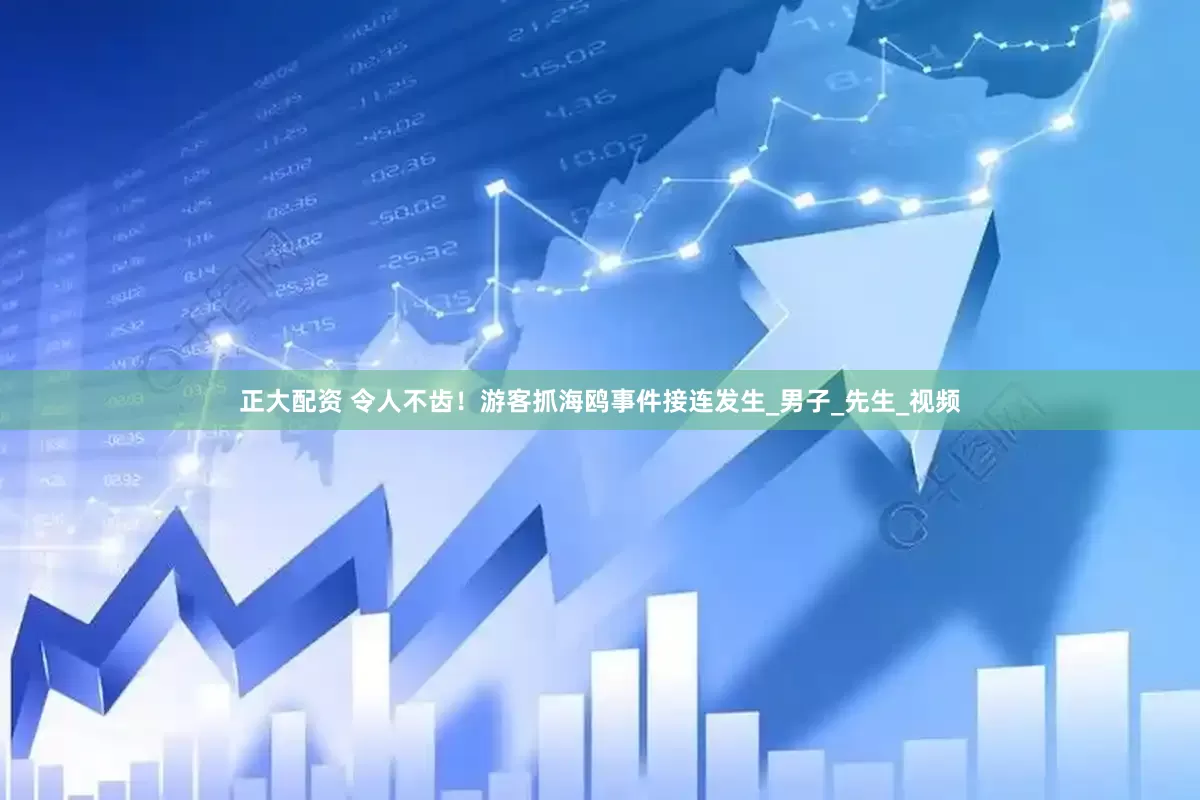 正大配资 令人不齿！游客抓海鸥事件接连发生_男子_先生_视频