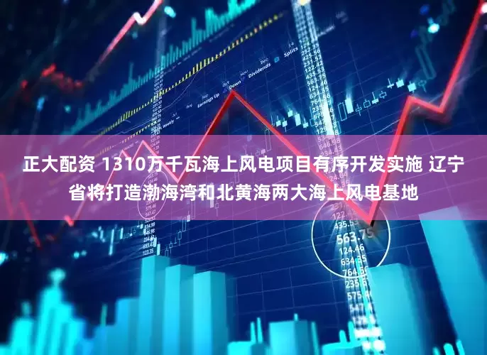 正大配资 1310万千瓦海上风电项目有序开发实施 辽宁省将打造渤海湾和北黄海两大海上风电基地